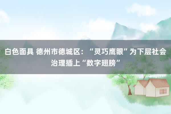 白色面具 德州市德城区：“灵巧鹰眼”为下层社会治理插上“数字翅膀”