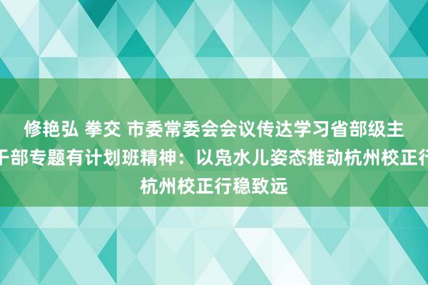 修艳弘 拳交 市委常委会会议传达学习省部级主设施导干部专题有计划班精神：以凫水儿姿态推动杭州校正行稳致远