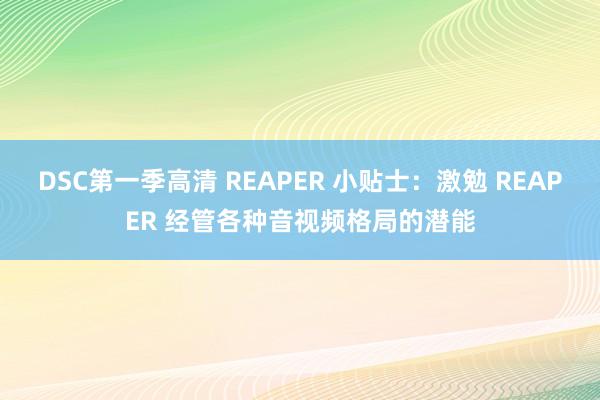 DSC第一季高清 REAPER 小贴士：激勉 REAPER 经管各种音视频格局的潜能