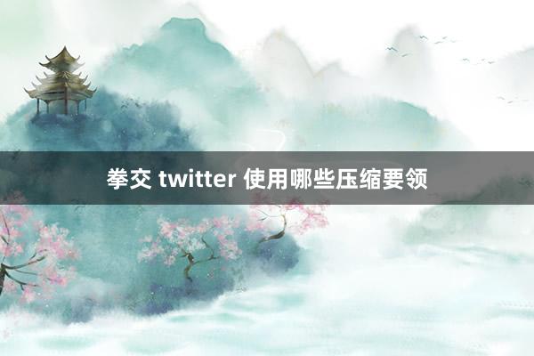 拳交 twitter 使用哪些压缩要领