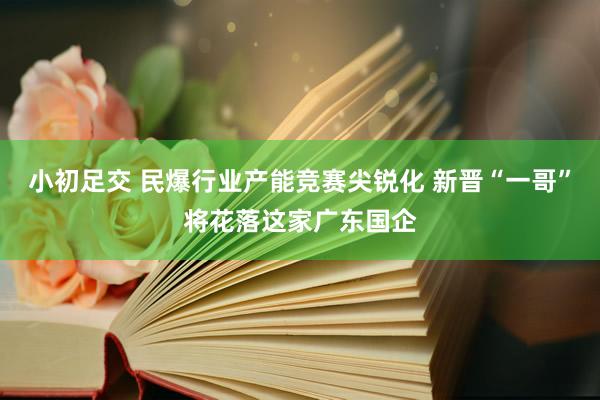 小初足交 民爆行业产能竞赛尖锐化 新晋“一哥”将花落这家广东国企